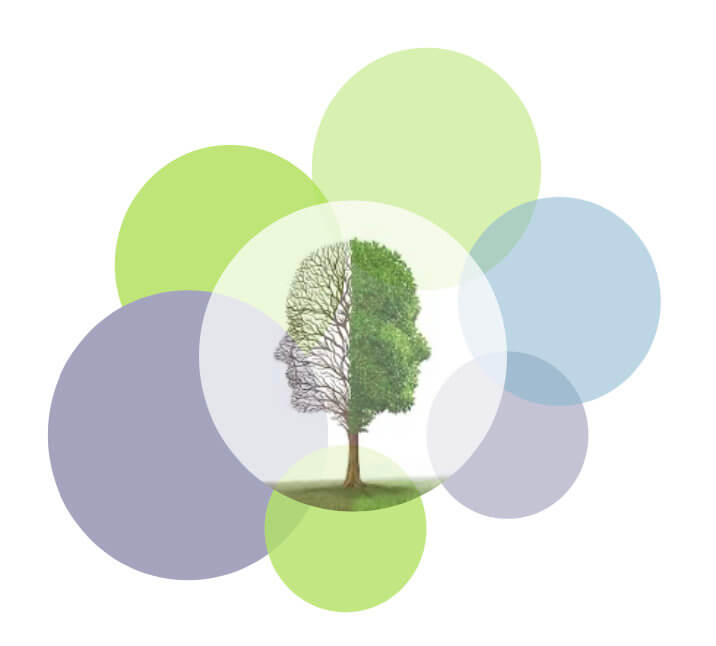 Digital Programmes and Resources